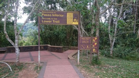 Señales en el parque
