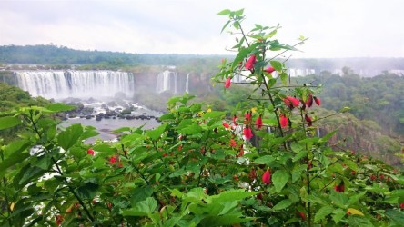 Cataratas