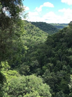 Parque Provincial Salto Encantado en Misiones
